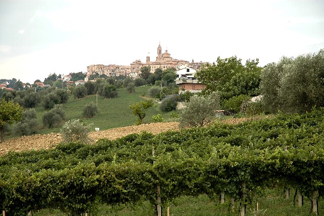 min 2006 08 25 corinaldo 165